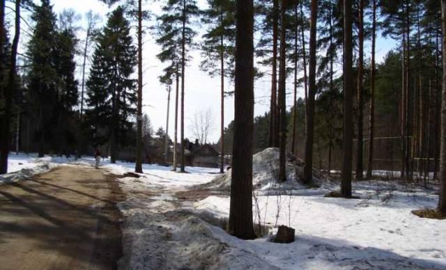 Всеволожск, участок ижс-15 сот.в соснах Всеволожск