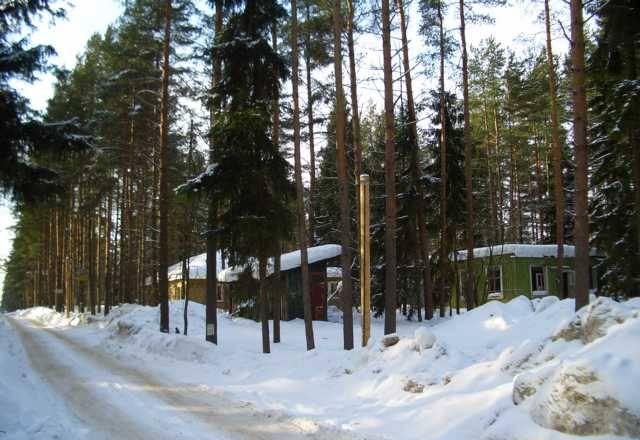Мельничный Ручей,участок ижс-30сот.сосны Всеволожск