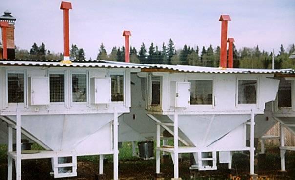 Готовый бизнес кролиководство Тверь