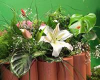 Декоративные ограждения, для цветника,клумбы. 15см Москва