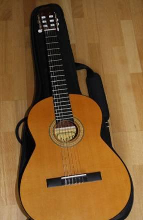 Аккустическая гитара Alvaro + Тюнер + Чехол Москва