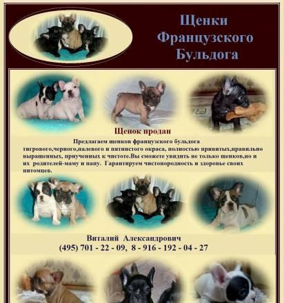 Продажа щенков Москва