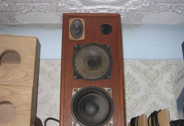 Ас Санкт-Петербург