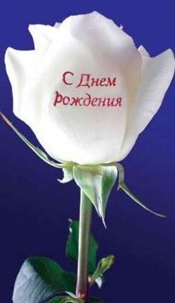 Наклейки на цветы - Говорящие цветы Санкт-Петербург
