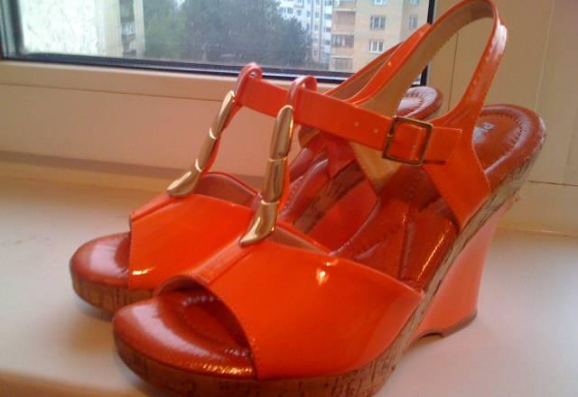 Яркие оранжевые летние Москва