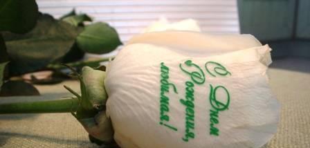 Наклейки на цветы - Говорящие цветы Санкт-Петербург