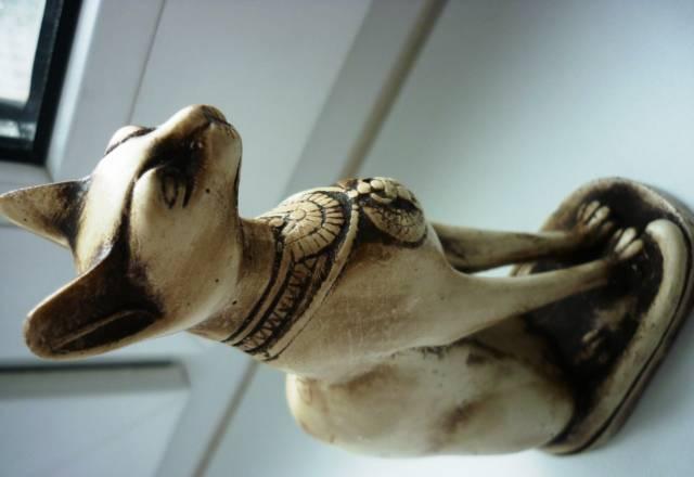 Египетская кошка Москва