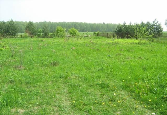 Участок 10 ссвет оплачен 95 км Симферопольское ш Серпухов