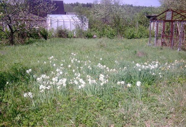 Участок 8 с с бытовкой 90 км Симферопольское ш Серпухов