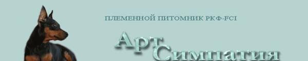 Шпица,цвергпинчера,чихуахуа,йорка,щенки Москва