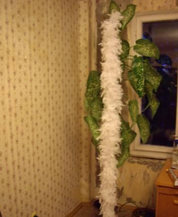 Лента из перьев Санкт-Петербург