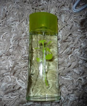 Туалетная вода Ив Рошэ Москва