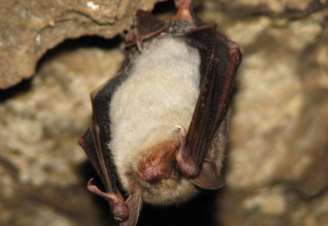 Сплав по Днестру и квест в пещере на День России Москва