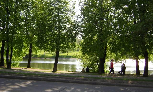 Квартира в ЖК "Виноградные пруды" Москва