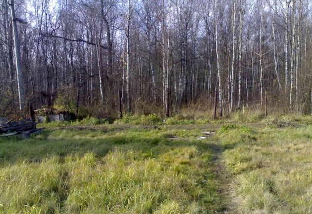 6 соток СНТ 55 км у леса Чехов