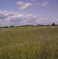 Участок у реки Волхов Чудово