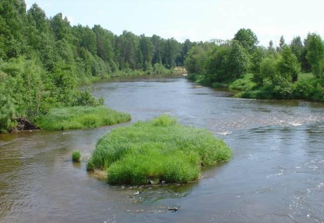 Земельный участок Городец