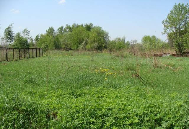 15 сот по Новорижск ш в деревне/пмж/-150м до реки Москва