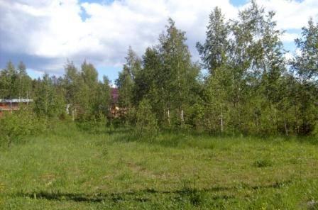 Участок 10 соток в СНТ Романово Переславль-Залесский
