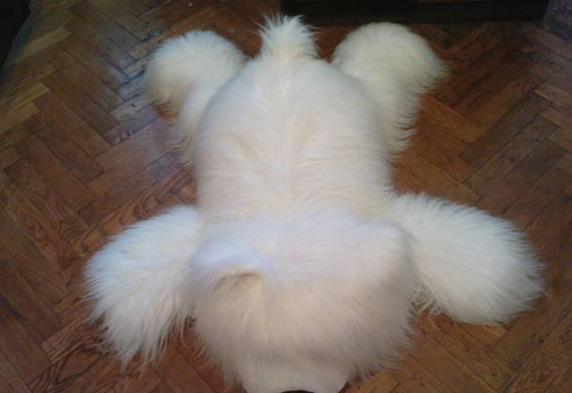 Мягкая игрушка Москва