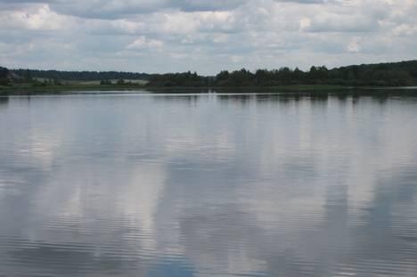 Участок 9,6 соток по новорижскому шоссе Волоколамск