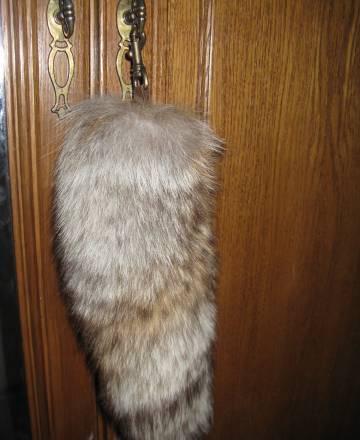 Песцовый хвост на кабуре Москва