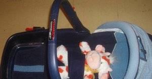 Автокресло Жане Москва