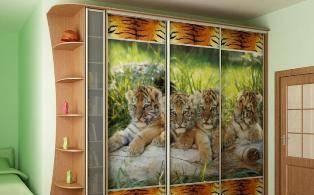 Шкафы-купе на заказ Москва