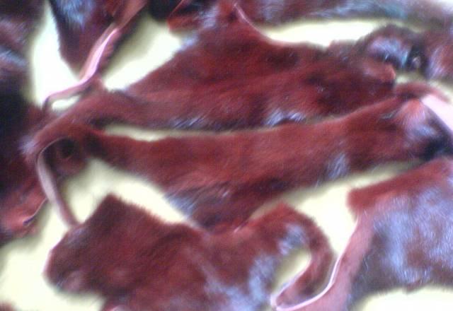 Лоскут норки. Кусочки вишневого цвета Москва