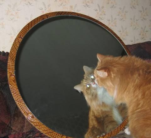 Зеркало Санкт-Петербург