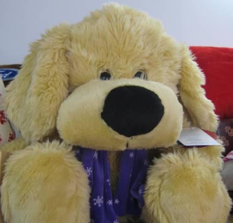 Щенок Москва