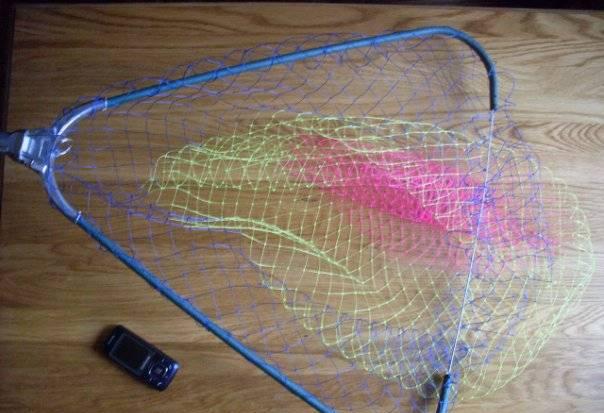 Подсачник Санкт-Петербург