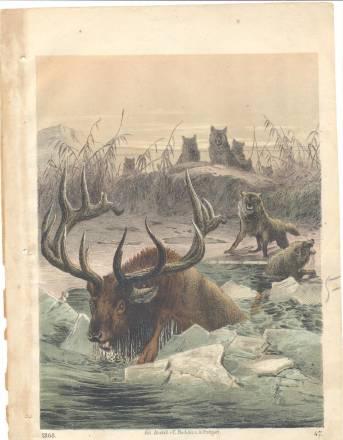 Гравюры 19 в Москва