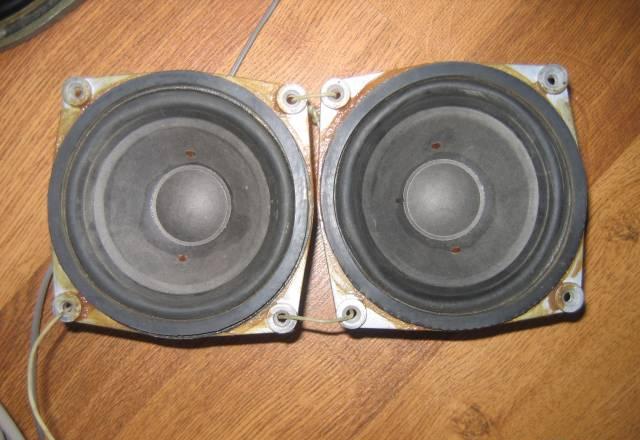 Динамики Санкт-Петербург