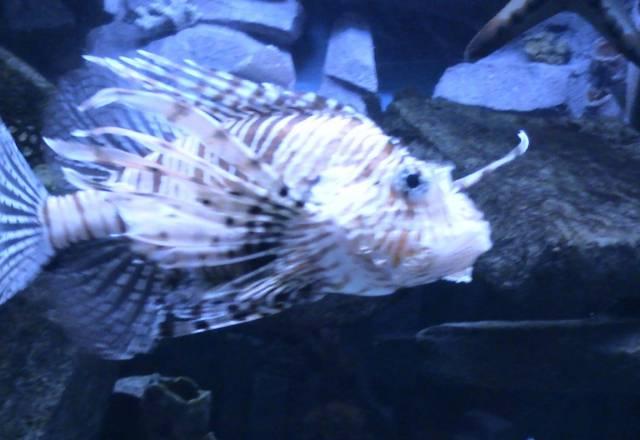 Стиралку- малютку Москва