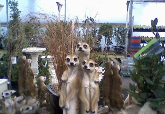 Английский Санкт-Петербург