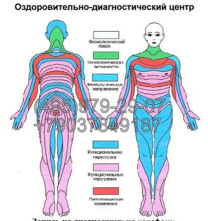 Диагностика организма Москва