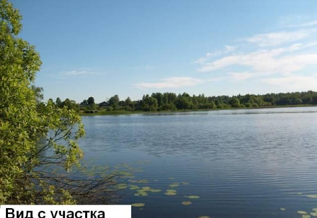 20 с.Свой берег.пр.Волги.135 км Дмитр.ш Москва