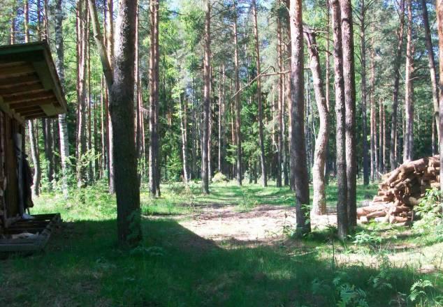 Продается элитный участок во Всеволожске Санкт-Петербург