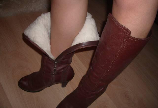 Сапоги Camelot Москва