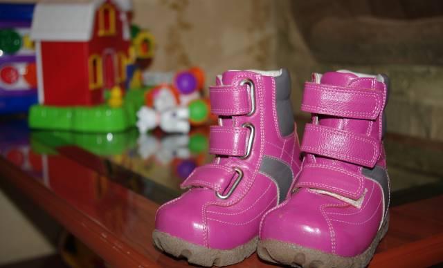 Зимние сапожки Персей Москва