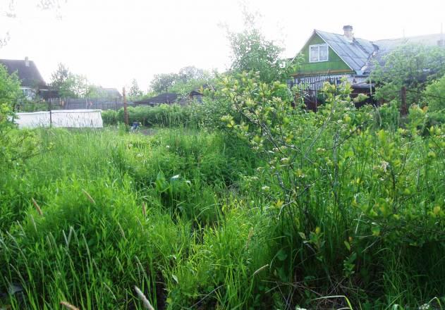Участок в Антрошино, 35 км от Санкт- Петербурга Санкт-Петербург