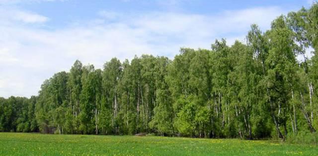 67 сот пмж 2,5 тыс долл.за сотку Москва