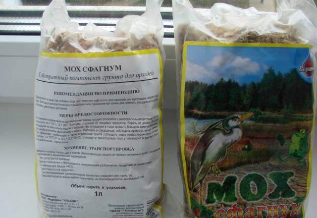 Мох сфагнум Москва
