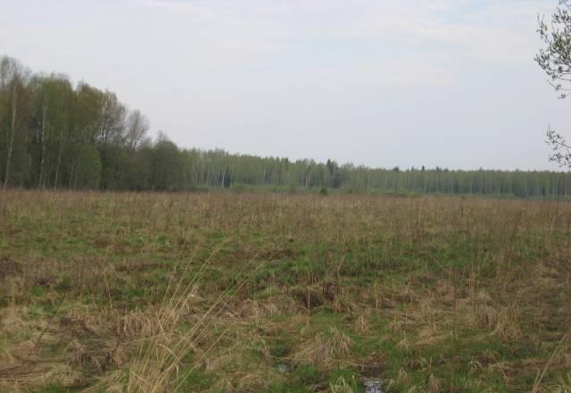 Продам участок недалеко от р. Угра Юхнов