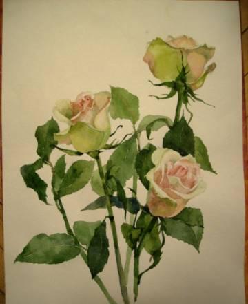 Розы Москва