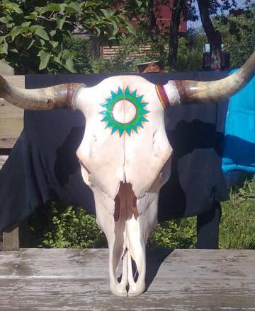 Череп быка Москва