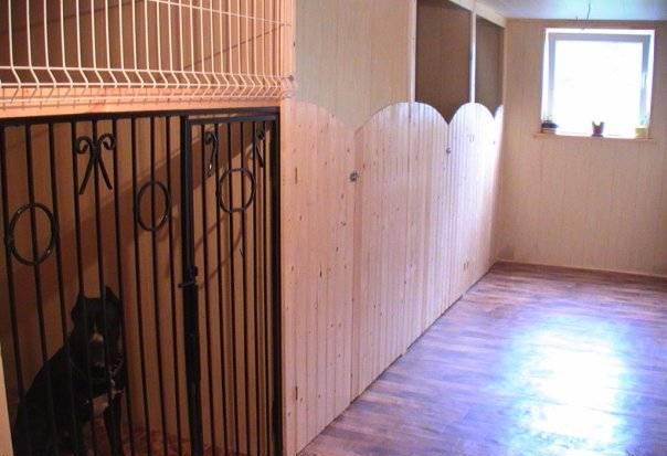 Передержка собак в Спб Зоогостиница "Кот и Пёс" Санкт-Петербург