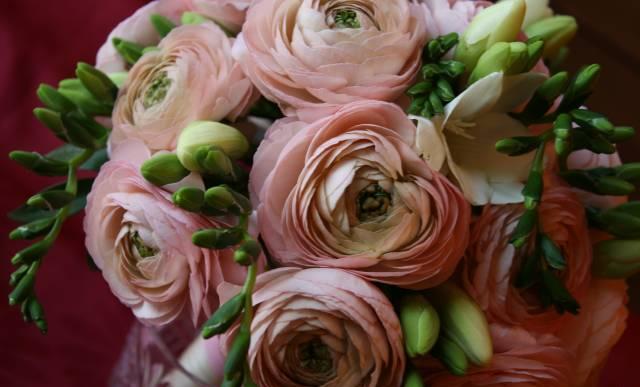 Фотограф на любые торжества Москва