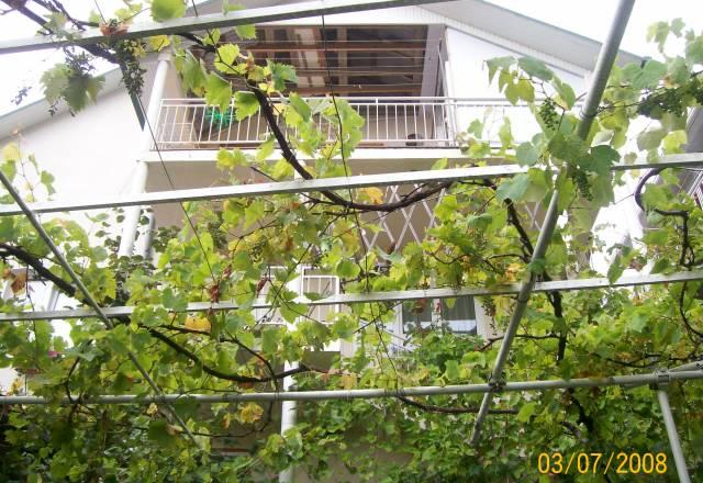 Г.Сочи, Адлерский район.ул.Крупской 5а. Ждем вас Сочи